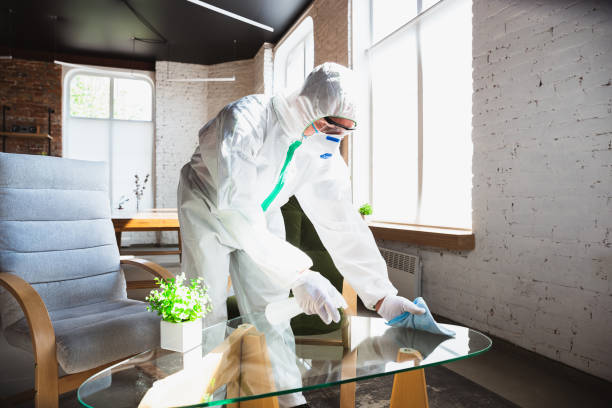 Why You Should Choose Our Mold Remediation Services in Yerington, NV