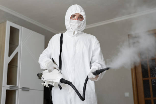 Best Forensic Mold Investigation  in Yerington, NV